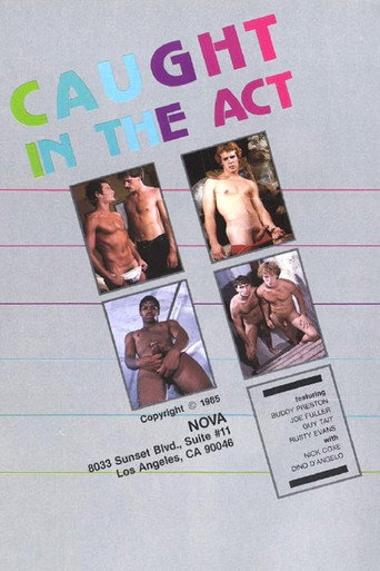 Caught In The Act movie poster