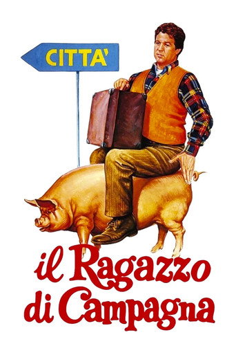The Country Boy movie poster