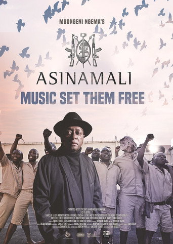 Asinamali movie poster
