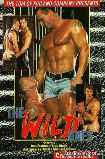 The Wild Ones movie poster