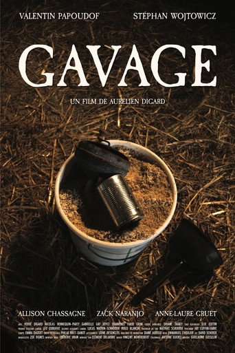 Gavage movie poster