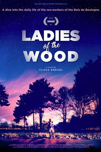 Ladies of the Wood movie poster