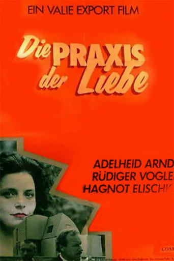 The Practice of Love movie poster