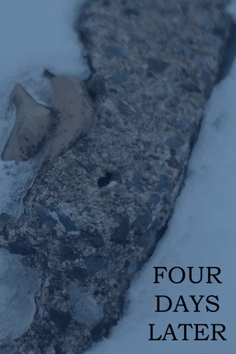 FOUR DAYS LATER movie poster