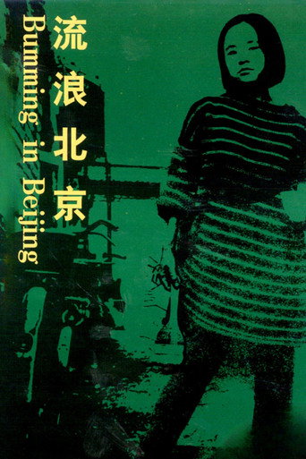 Bumming in Beijing: The Last Dreamers movie poster