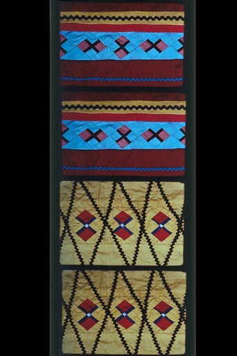 No. 15: Untitled Animation of Seminole Patchwork Film movie poster