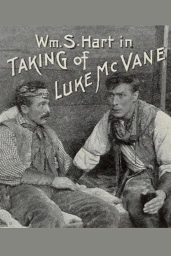 The Taking of Luke McVane movie poster