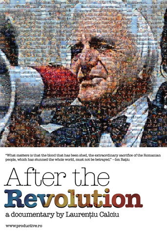 After the Revolution movie poster