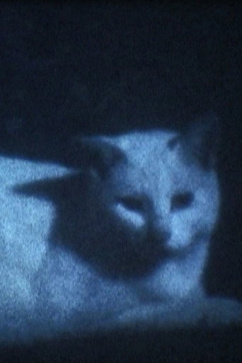 DARK BLACK SHADOW PEOPLE movie poster