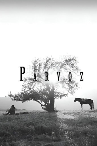 Parvoz movie poster