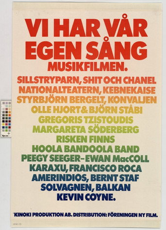 We Have Our Own Song - The Music Movie movie poster