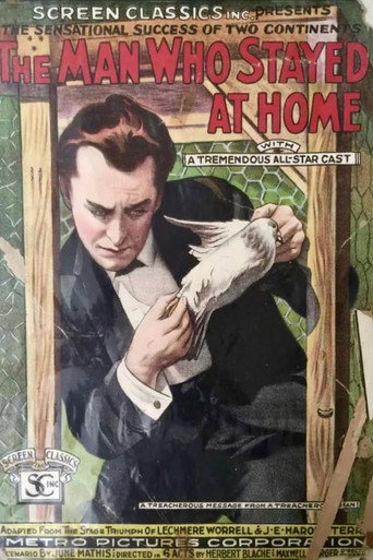 The Man Who Stayed at Home movie poster