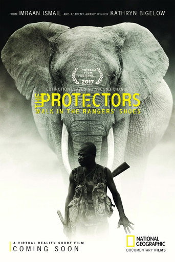 The Protectors movie poster