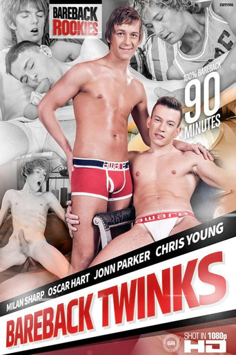Bareback Twinks movie poster