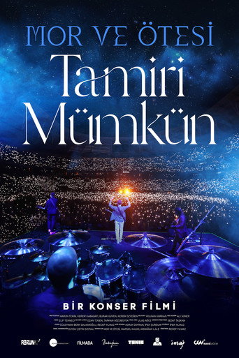 Mor ve Ötesi: Tamiri Mümkün movie poster