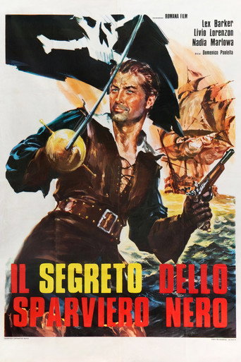 The Secret of the Black Falcon movie poster