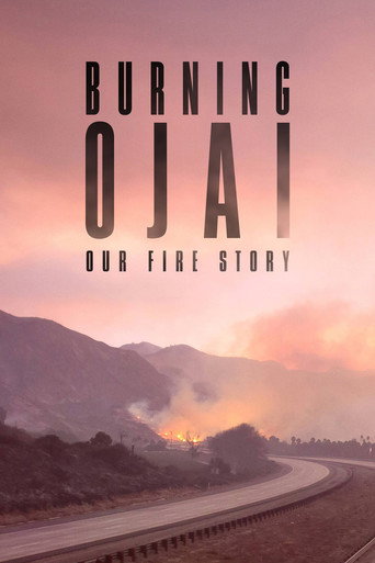 Burning Ojai: Our Fire Story movie poster