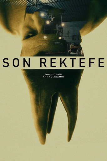 Final Repair movie poster