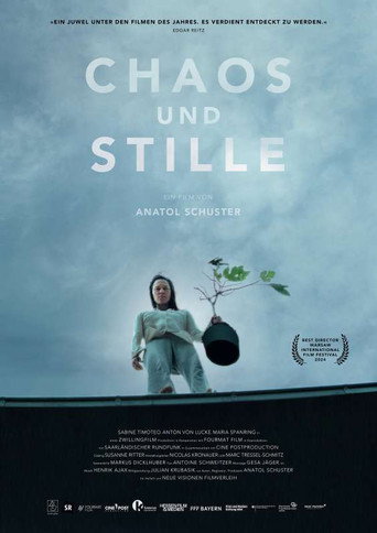 Chaos and Silence movie poster