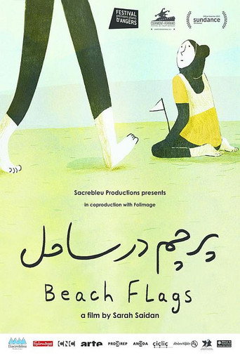 Beach Flags movie poster