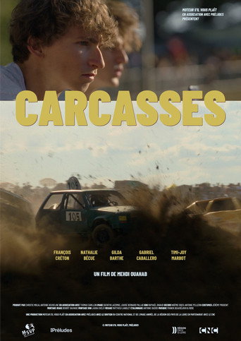 Wrecks movie poster