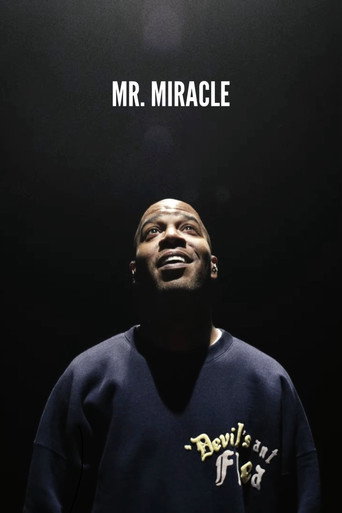 Mr. Miracle movie poster