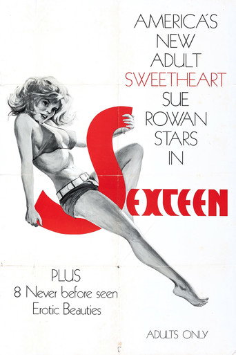 Sexteen movie poster