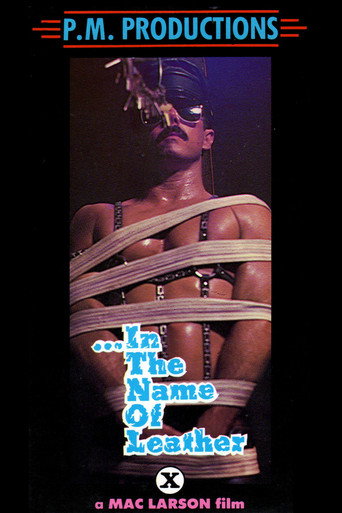 ...In the Name of Leather movie poster