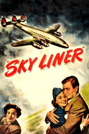 Sky Liner movie poster
