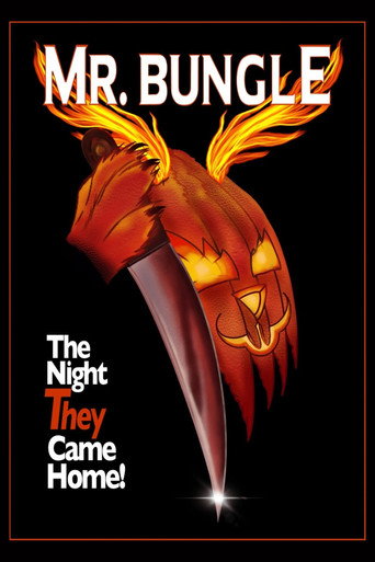 Mr. Bungle: The Night They Came Home movie poster