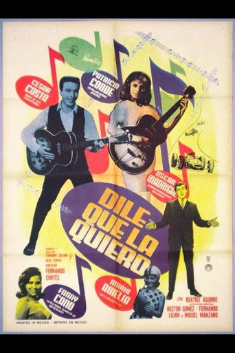 Dile que la quiero movie poster