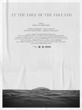 At the Edge of the Volcano movie poster