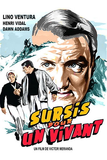 Pensione Edelweiss movie poster