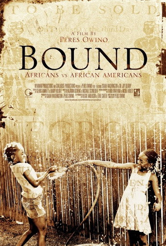 Bound: Africans Versus African Americans movie poster