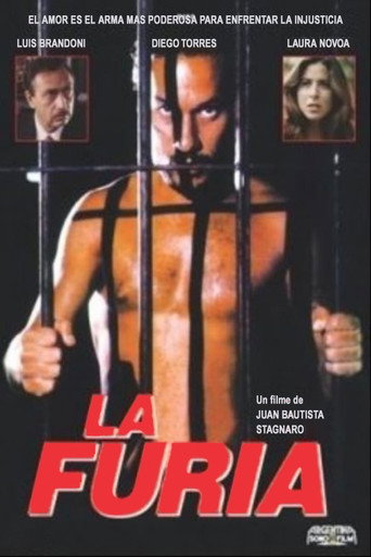The Fury movie poster