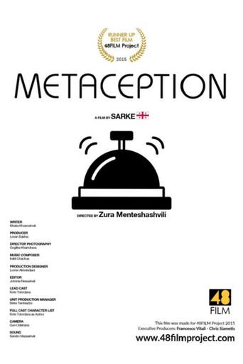 Metaception movie poster