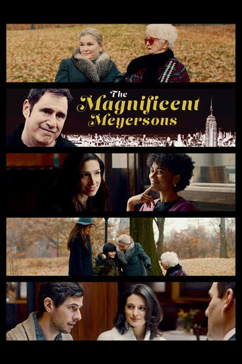 The Magnificent Meyersons movie poster