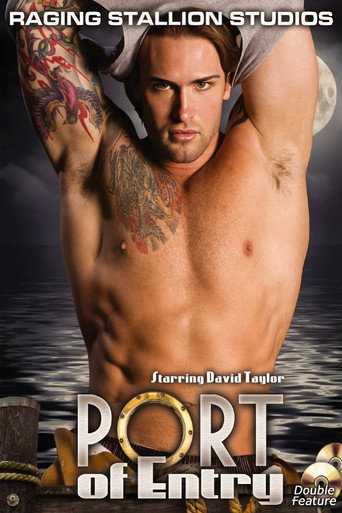 Port of Entry movie poster