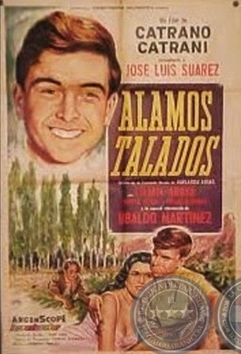 Álamos talados movie poster