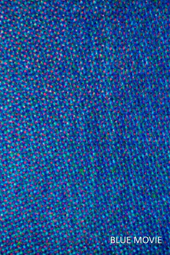 Blue Movie movie poster