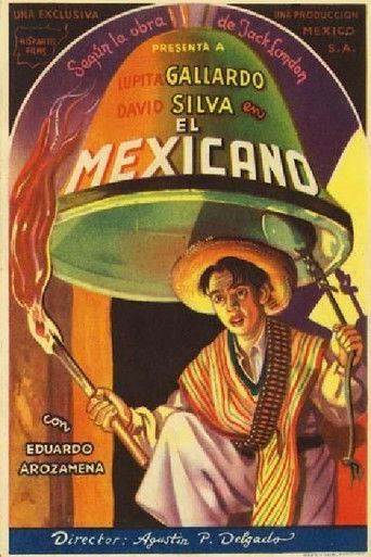 The Mexican movie poster
