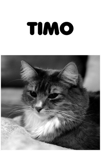 Timo movie poster