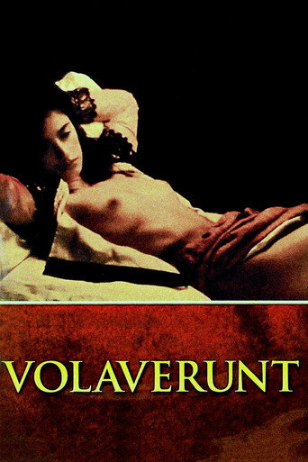 Volaverunt movie poster