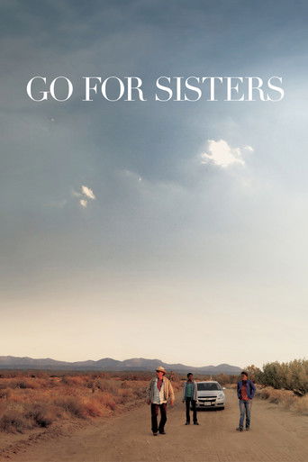 Go for Sisters movie poster