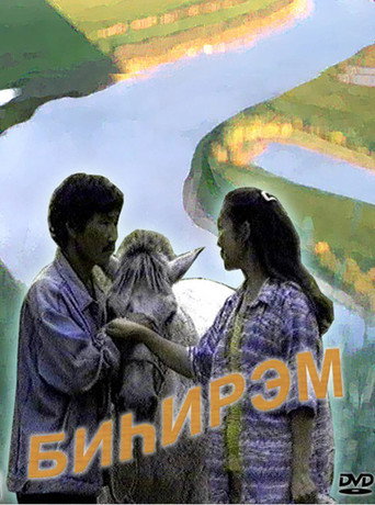 Matchmaking movie poster