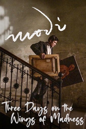 Modi, Three Days on the Wing of Madness movie poster