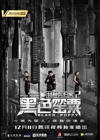 Special Forces Return 2 movie poster