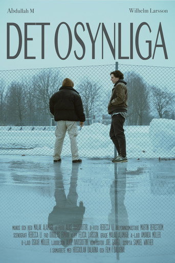Invisible movie poster
