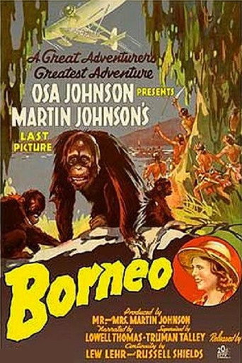 Borneo movie poster