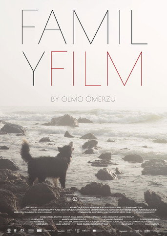 Family Film movie poster